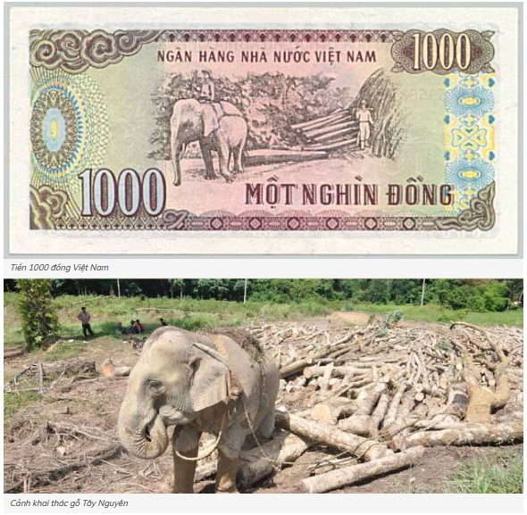 1,000VND