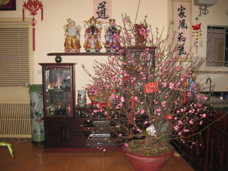 桃